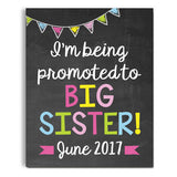 Sibling Pregnancy Announcement Print - Hypolita Co.